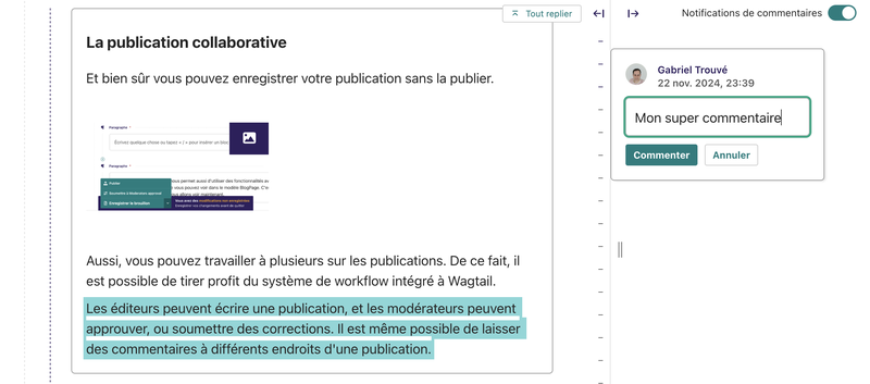 Commentaire wagtail